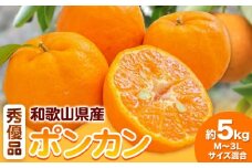 和歌山県産ポンカン 約 5kg 秀優品 (M～3Lサイズ混合) 厳選館 《2026年2月上旬-3月末頃出荷》和歌山県 日高川町 柑橘 ポンカン ぽんかん フルーツ 秀品 優品
