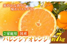 【ご家庭用訳あり】※先行予約※希少な国産バレンシアオレンジ 約7kg 株式会社魚鶴商店《2026年6月下旬-7月上旬出荷》和歌山県 日高川町