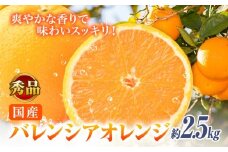 【秀品】※先行予約※希少な国産バレンシアオレンジ 約2.5kg 株式会社 魚鶴商店《2026年6月下旬頃～7月上旬頃出荷》和歌山県 日高川町 オレンジ 柑橘 フルーツ 果物