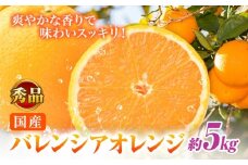 【秀品】※先行予約※希少な国産バレンシアオレンジ 約5kg 株式会社 魚鶴商店《2026年6月下旬頃～7月上旬頃出荷》和歌山県 日高川町 オレンジ 柑橘 フルーツ 果物