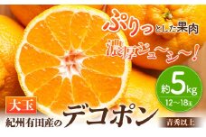 ＜先行予約＞【お味濃厚】紀州有田産の大玉デコポン約5kg(12玉～18玉入り・青秀以上) 厳選館 《2026年1月中旬-3月下旬頃出荷》和歌山県 日高川町 デコポン でこぽん 柑橘 不知火 しらぬい 大玉 送料無料
