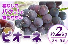 【先行予約】紀州和歌山産 ピオーネ 約2kg 3房-5房 魚鶴商店 《8月下旬-9月下旬頃出荷》 和歌山県 日高川町 フルーツ ぶどう 巨峰 2kg 和歌山県産 送料無料