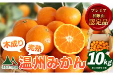 【先行予約】木成り完熟 温州 みかん ミックスサイズ 約 10kg まるまつ農園《2025年12月上旬-2026年1月末頃出荷》 和歌山県 日高川町 温州みかん みかん 完熟 