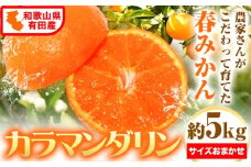 【先行予約】みかん 濃厚 春みかん 有田産 カラマンダリン 約5kg ( サイズおまかせ ) 厳選館《2026年4月上旬-5月中旬頃出荷》和歌山県 日高川町 柑橘 果物 送料無料