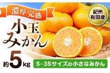 【先行予約】みかん 紀州有田産 濃厚完熟 小玉みかん 約5kg S-3Sサイズ 株式会社魚鶴商店《2025年11月下旬-12月下旬頃出荷》 和歌山県 日高川町 みかん 小玉みかん 完熟 濃厚 柑橘 小玉 小さい