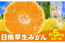 みかん 日南早生みかん 早生 みかん 約5kg 3S-Mサイズ どの坂果樹園《10月上旬-下旬頃出荷》和歌山県 日高川町 産地直送 柑橘類 みかん 旬 フルーツ 果物 柑橘 送料無料