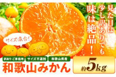 和歌山・日高川育ちの 訳あり 濃厚みかん(3Ｓ～3L)  約5kg《11月上旬-12月末頃出荷》和歌山県 日高川町 柑橘類 柑橘 果物 フルーツ ミカン 訳ありみかん 家庭用 お取り寄せフルーツ みかん