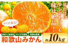 和歌山県産 訳あり みかん(3S～3L) 約10kg《11月上旬-12月末頃出荷》和歌山県 日高川町 柑橘類 柑橘 果物 フルーツ ミカン 訳ありみかん 家庭用 お取り寄せフルーツ みかん 大容量