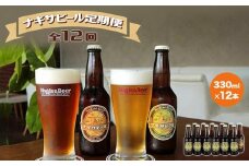 【定期便 全12回】ナギサビール330ml×12本を毎月お届け（季節限定商品を含む3種類）