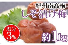 紀州南高梅　しそ漬け梅　塩分3％（１キロ）　