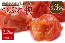 紀州南高梅　《つぶれ梅セット》　しそ漬け梅　塩分3％（1.2キロ）
