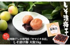 しそ漬け梅　大粒１kg（ポリ容器入り）