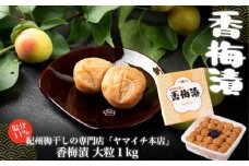 香梅漬　大粒１kg（ポリ容器入り）