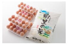 有精卵30個＋紀州うめ卵30個＋コシヒカリ5kg