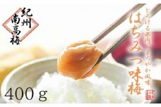 はちみつ梅　ぽってり特選（400ｇ）紀州南高梅【梅農家手づくり梅干】【 3Lサイズ梅干し 大粒梅干し 南高梅 紀州南高梅干し 塩分約8％ 梅干し 人気梅干し おすすめ梅干し 和歌山県 白浜町 J001-NTZ 】