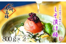 しそ漬け梅　特選　(800ｇ×2パック）紀州南高梅【梅農家手づくり梅干】