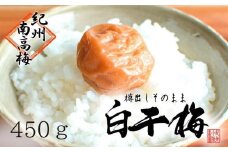無添加　白干梅　(2L～3Lサイズ、450g）紀州南高梅【梅農家厳選　手づくり梅干】 【 しょっぱい梅干し 南高梅  無添加梅干し 塩分 約20％ 梅干し 白干し梅干し 和歌山県 白浜町 J008-NTZ 】