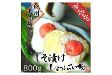 無添加　しそ梅　しょっぱい（食べごろLサイズ800g）紀州南高梅【梅農家手づくり梅干】