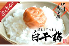 無添加　白干梅　(2L～3Lサイズ、800g）紀州南高梅　【梅農家厳選　手づくり梅干】
