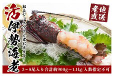 活 伊勢海老 2尾 ～ 8尾 合計 約 900g ～ 1.1kg セット 産地直送 船長ジュニア りん君おススメ