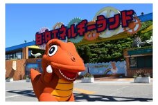 白浜エネルギーランド ペア入場券