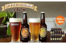 【定期便 全12回】ナギサビール330ml×30本を毎月お届け（季節限定商品を含む3種類）