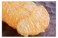 【2023年3月以降発送分】紀南の甘い蔵出し紅八朔 5kg L-2L玉