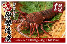 活 伊勢海老 1尾 ～ 2尾 セット 産地直送 船長 おすすめ 【いせえび 伊勢海老 活伊勢海老 鮮魚 亀田鮮魚 人気伊勢海老 おすすめ伊勢海老 和歌山県 白浜町 K022-NTZ 】