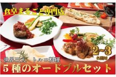 本格トルコ料理 オードブル 2～3名セット ケバブチキンステーキ ハンバーグ ピザ 焼き菓子 肉料理 鶏肉 温めるだけ 惣菜 お手軽 簡単 ギフト 贈り物 ホームパーティー