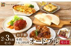 本格トルコ料理 オードブル 2～3名セット ケバブチキンステーキ ハンバーグ ピザ 焼き菓子 肉料理 鶏肉 温めるだけ 惣菜 お手軽 簡単 ギフト 贈り物 ホームパーティー