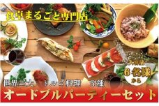 本格トルコ料理 オードブル 6名セット ケバブチキンステーキ ハンバーグ ピザ 焼き菓子 肉料理 鶏肉 温めるだけ 惣菜 お手軽 簡単 ギフト 贈り物 ホームパーティー