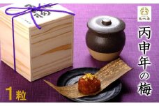 丙申年の梅　１粒　１箱（みなべ町）