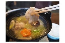 天然くえ満足コースお食事券（おひとり様用お食事券）
