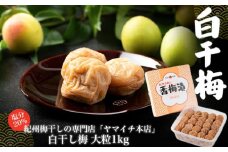 白干し梅　大粒1ｋｇ