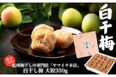 白干し梅　大粒350ｇ