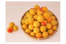 ［梅干づくり用］紀州南高梅2kg（3Lサイズ）