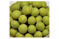 ［梅酒・梅ジュース用］紀州南高梅２ｋｇ（３Ｌサイズ）