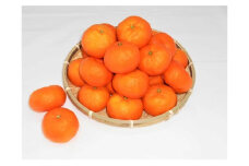紀州完熟みかん３ｋｇ（２Ｌサイズ）
