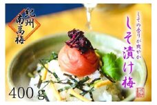 しそ漬け梅　特選　(400ｇ）紀州南高梅【梅農家手づくり梅干】