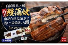 特大うなぎ蒲焼き2本セット（タレ・山椒付き）（合計：300～400ｇ)