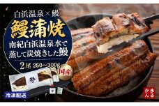 うなぎ蒲焼き2本セット（タレ・山椒付き）（合計：250～300ｇ)