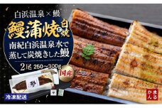 うなぎ蒲焼き、うなぎ白焼き　各1本セット（タレ・山椒付き）（合計：250～300ｇ)