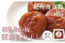 はちみつ梅干　紀州南高梅 産地直送　訳あり　皮切れ450g　まろやか梅