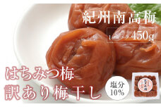 はちみつ梅干　紀州南高梅 産地直送　訳あり　皮切れ450g　まろやか梅
