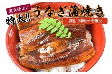 うなぎ蒲焼き4尾入り 860g～960g（蒲焼たれ8袋 山椒付き）［KS7］