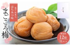 まごころ梅 はちみつ味 5Lサイズ 380g 個包装