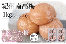 紀州南高梅  250g×4 塩分 10％ はちみつ梅干 まろやか梅 普通粒【ギフト 化粧箱入り 贈答用】