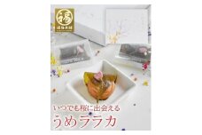紀州南高梅 うめララカ 桜葉と桜花を添えて【ギフト 化粧箱入り 贈答用】