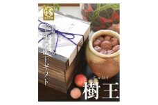 紀州南高梅 「樹王」 まろやか梅1.3kg 信楽焼の陶器壺入り【ギフト 木箱入り 贈答用】