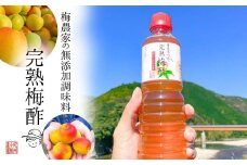 無添加 梅酢 500ml×2本 梅と天日塩だけ 農家の手作り完熟梅酢  調味料